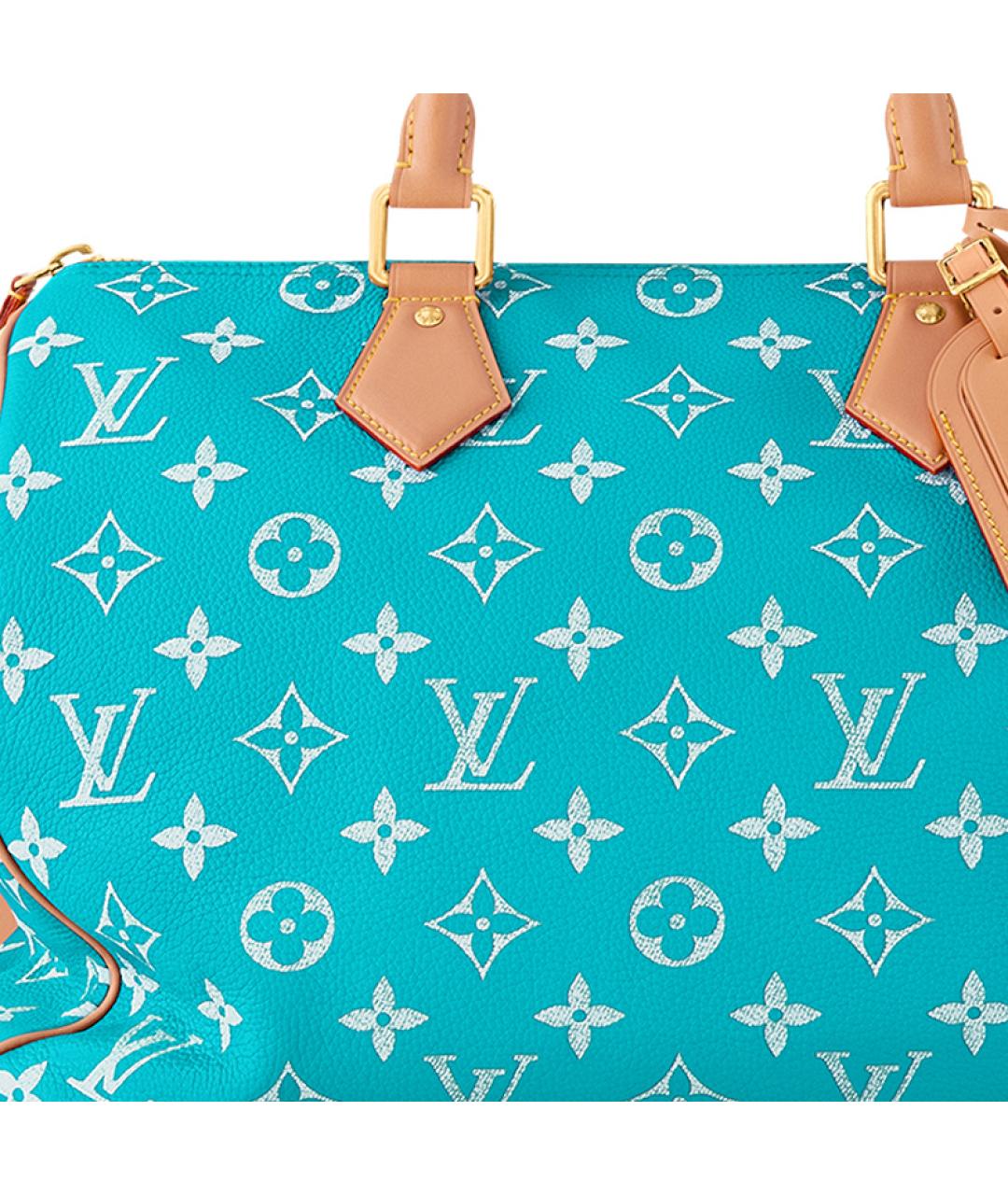 LOUIS VUITTON Дорожная/спортивная сумка, фото 5