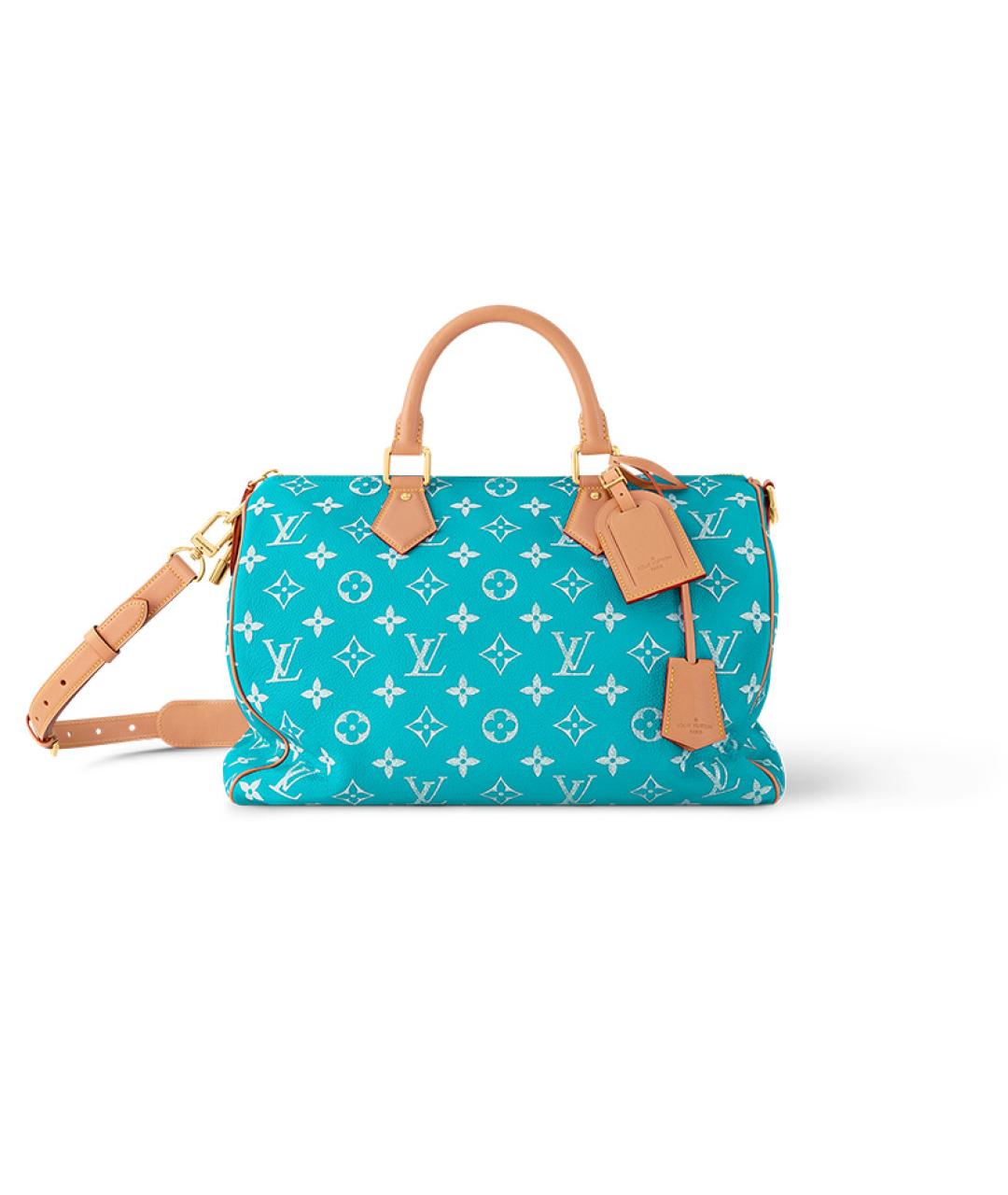 LOUIS VUITTON Дорожная/спортивная сумка, фото 1