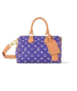 LOUIS VUITTON Дорожная/спортивная сумка