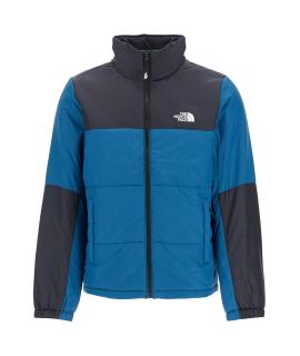 THE NORTH FACE Пуховик