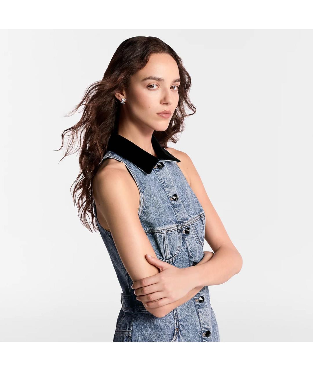 LOUIS VUITTON Серебряные металлические серьги, фото 4