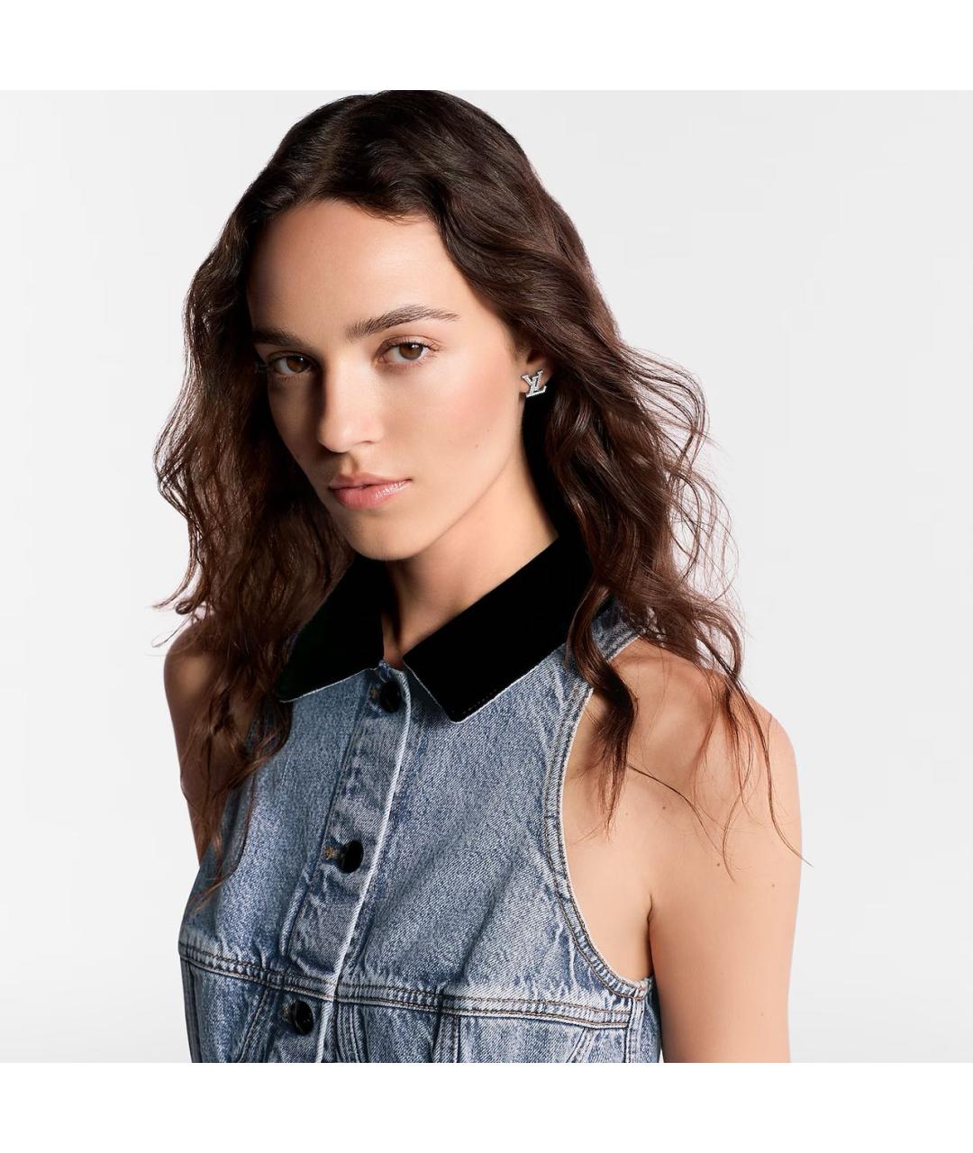 LOUIS VUITTON Серебряные металлические серьги, фото 2