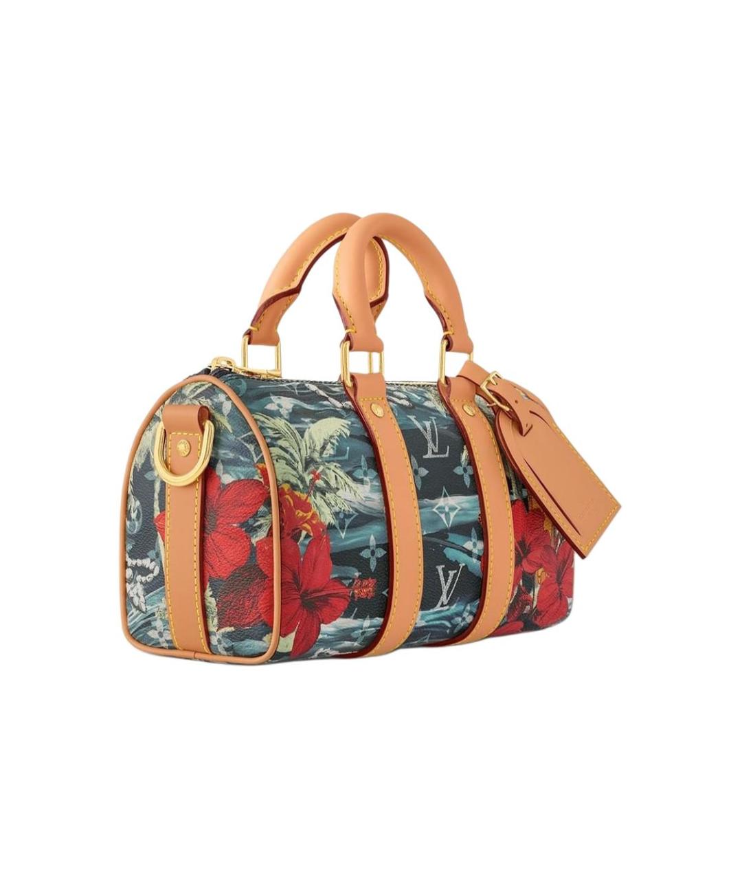 LOUIS VUITTON Мульти кожаная сумка на плечо, фото 2