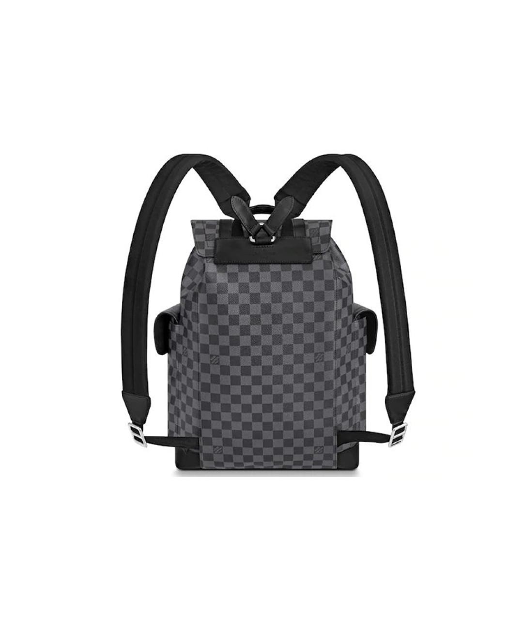 LOUIS VUITTON Серый кожаный рюкзак, фото 2