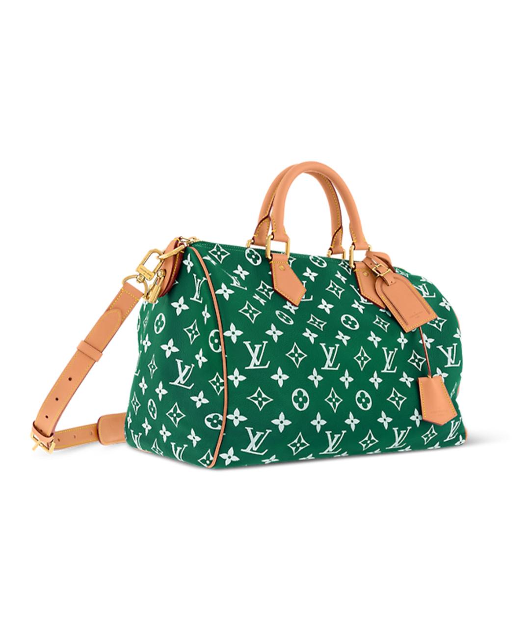 LOUIS VUITTON Зеленая кожаная сумка на плечо, фото 2