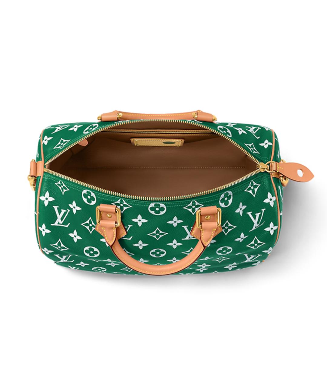 LOUIS VUITTON Зеленая кожаная сумка на плечо, фото 4