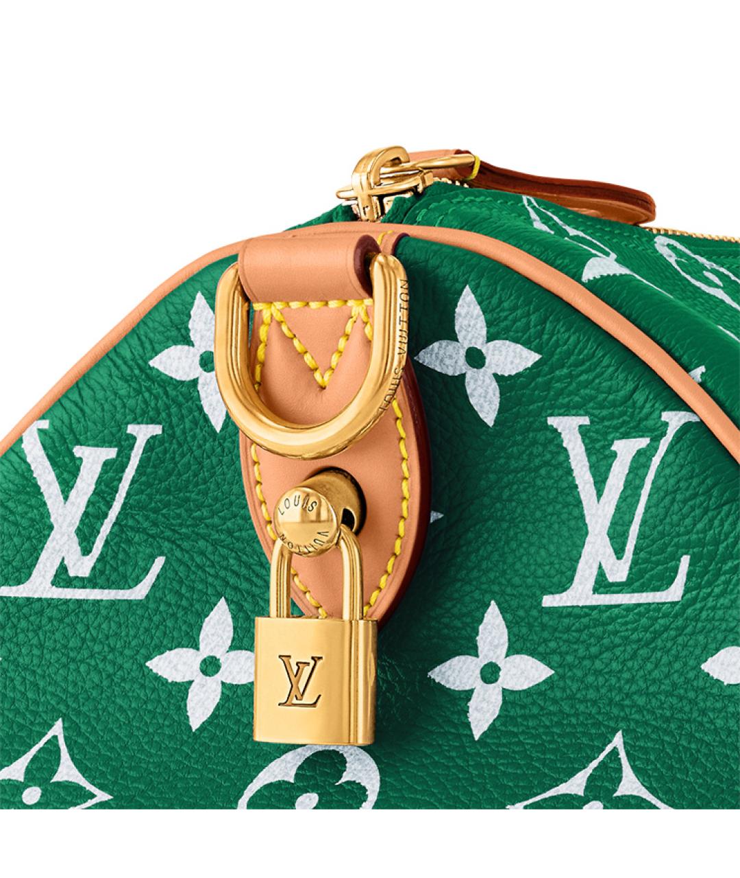 LOUIS VUITTON Зеленая кожаная сумка на плечо, фото 7