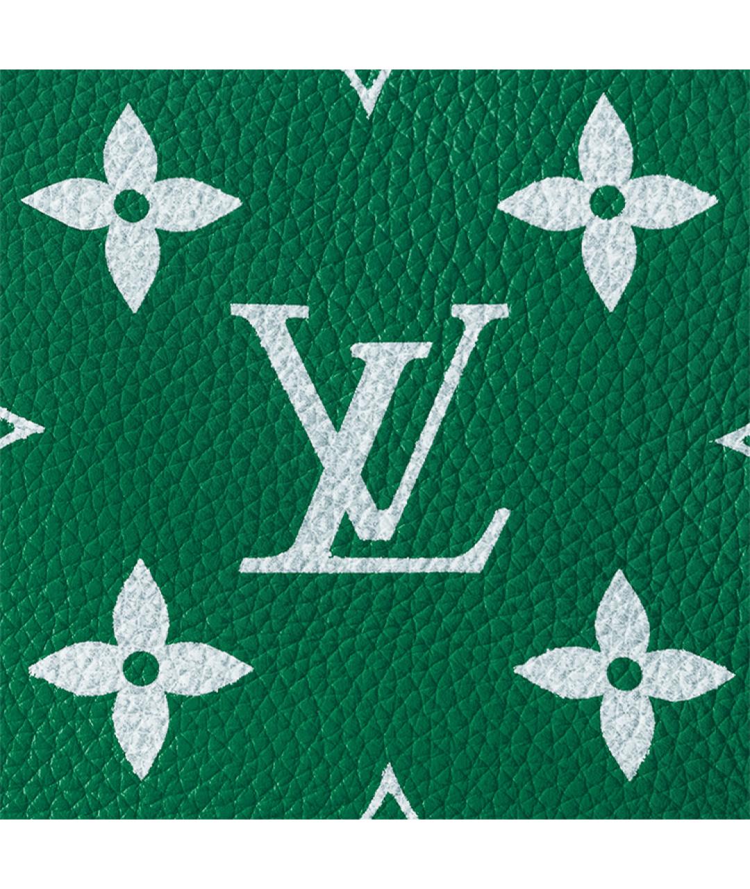 LOUIS VUITTON Зеленая кожаная сумка на плечо, фото 8