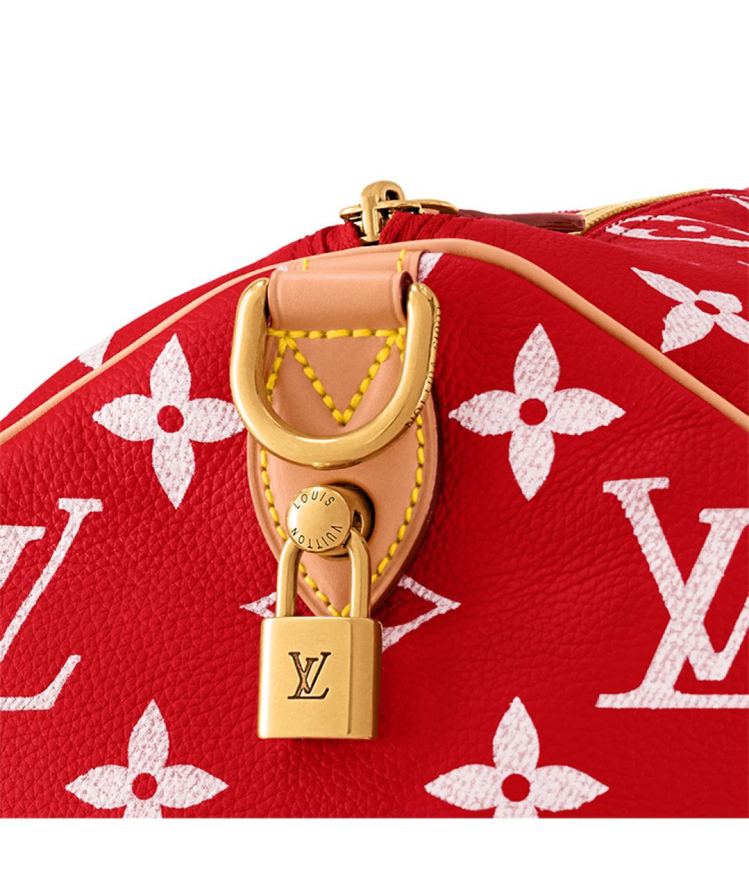 LOUIS VUITTON Красная кожаная сумка на плечо, фото 6