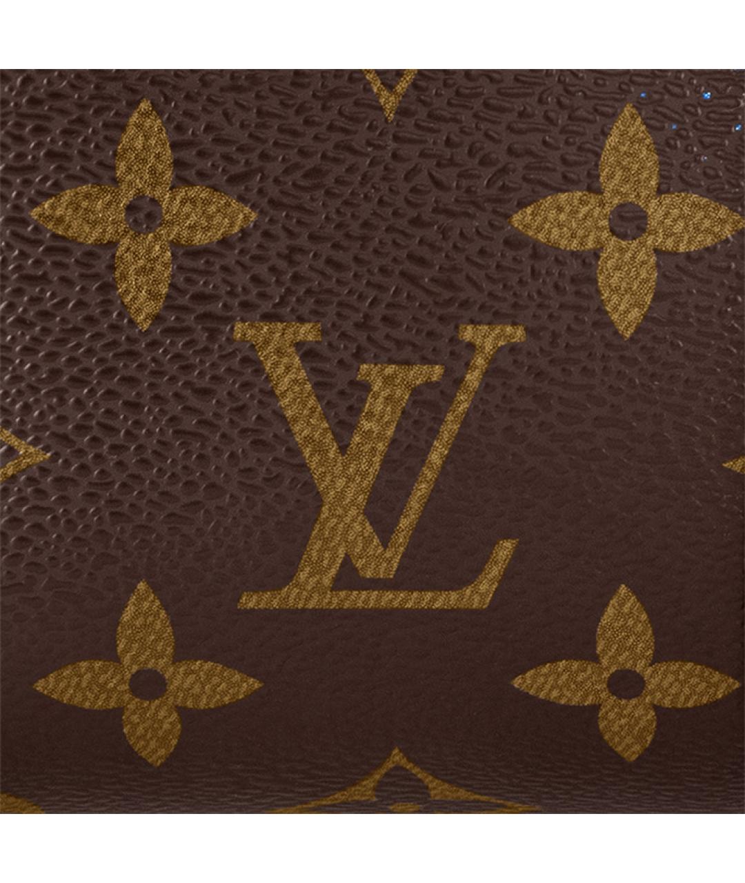 LOUIS VUITTON Коричневая сумка на плечо, фото 5