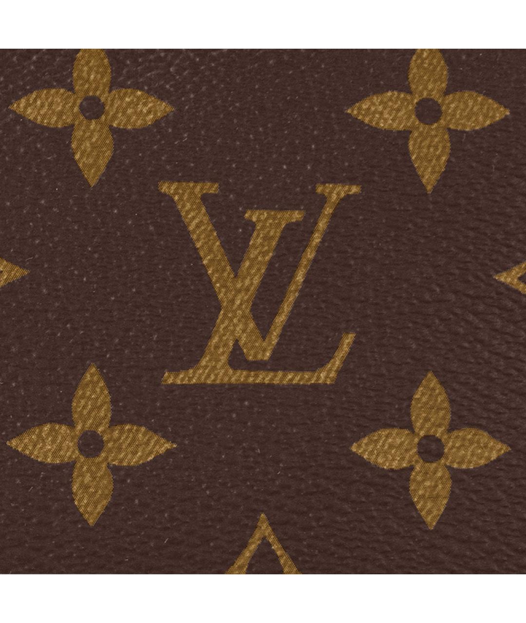 LOUIS VUITTON Коричневая кожаная косметичка, фото 5