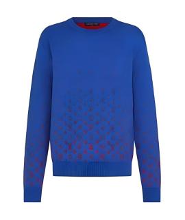 LOUIS VUITTON Джемпер / свитер