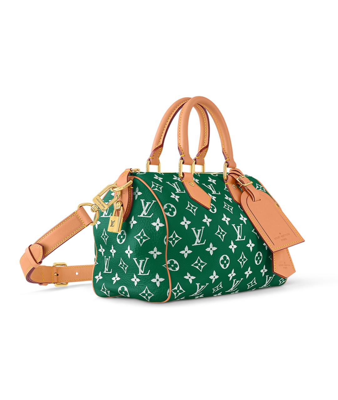 LOUIS VUITTON Зеленая кожаная сумка на плечо, фото 2