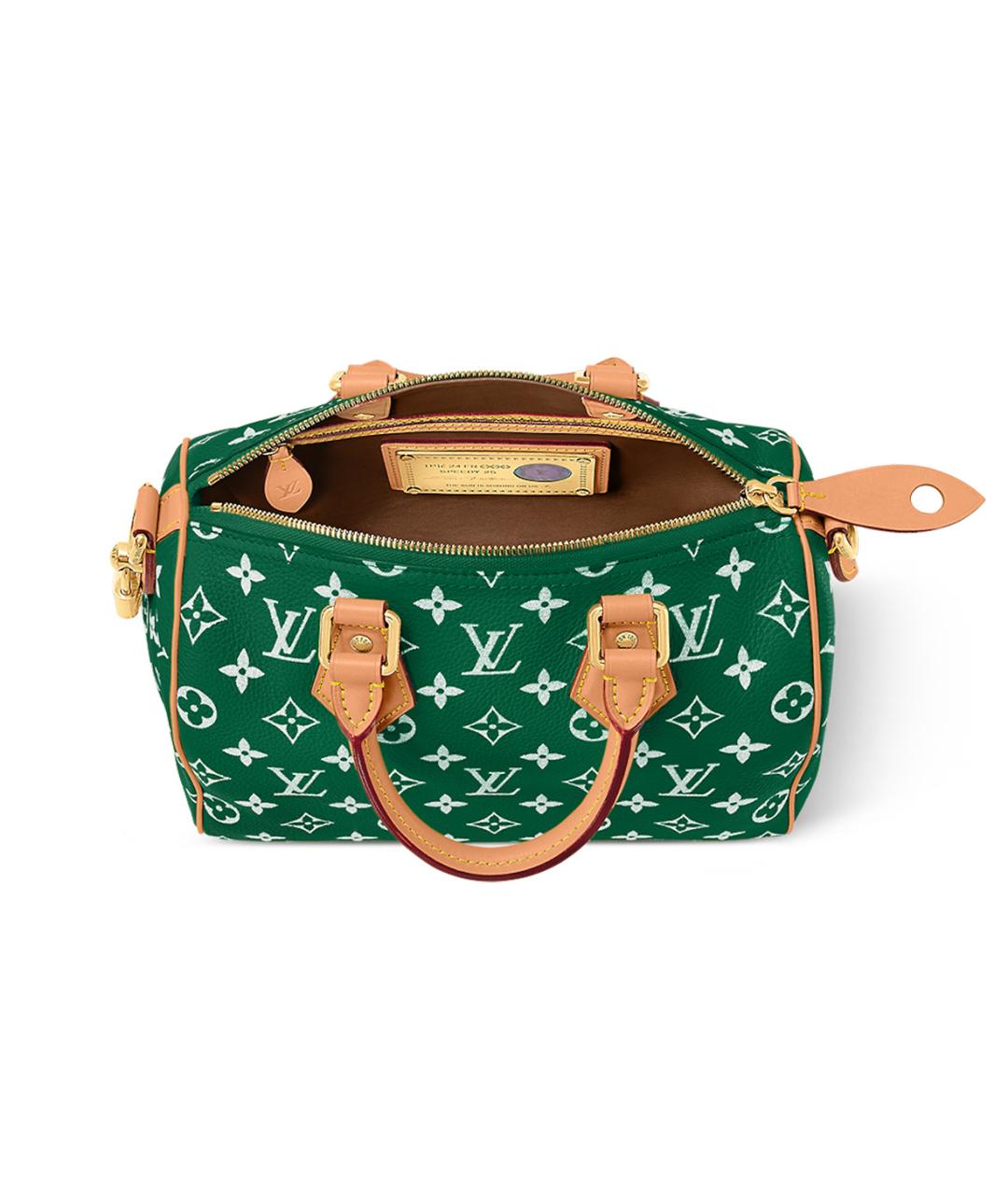 LOUIS VUITTON Зеленая кожаная сумка на плечо, фото 4