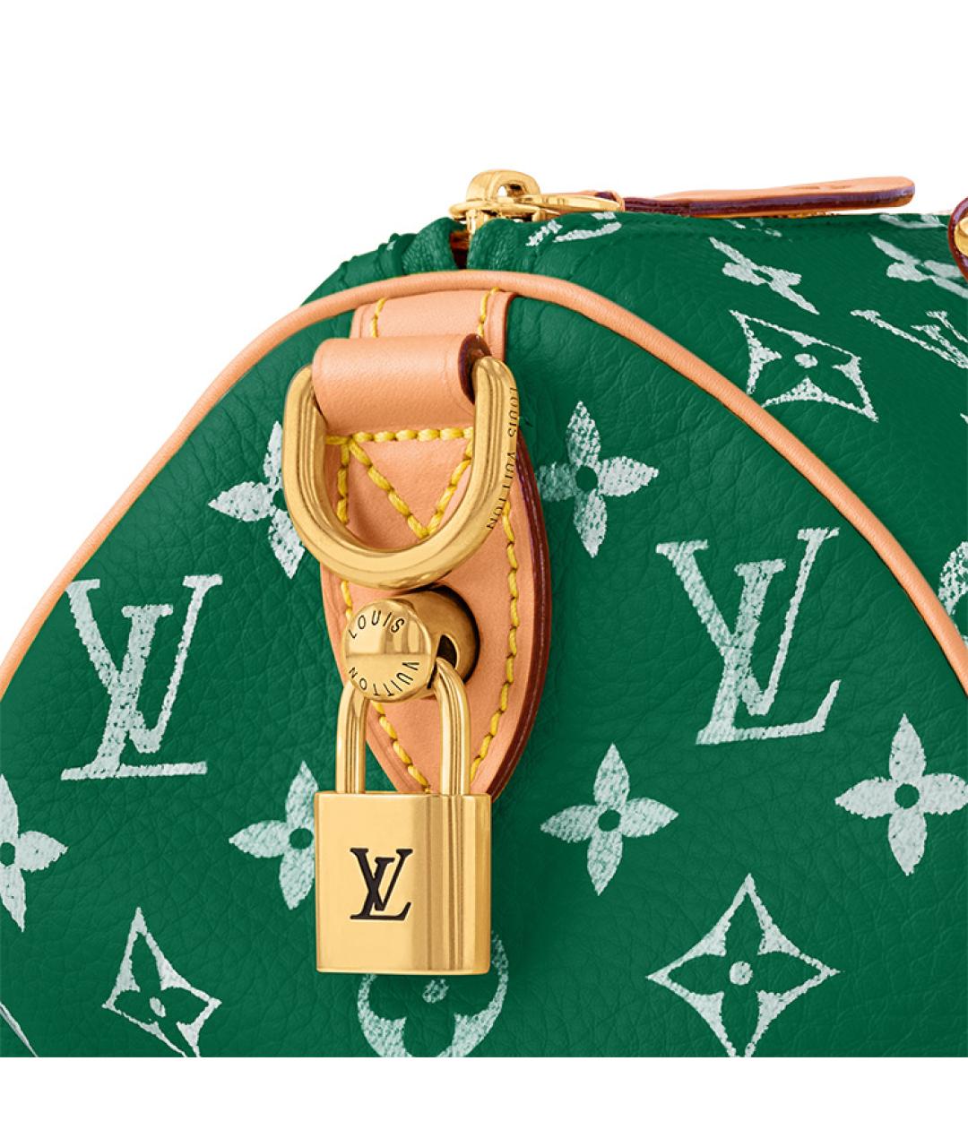 LOUIS VUITTON Зеленая кожаная сумка на плечо, фото 6