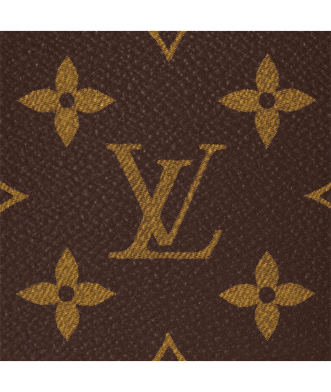 LOUIS VUITTON Коричневый кожаный рюкзак, фото 6