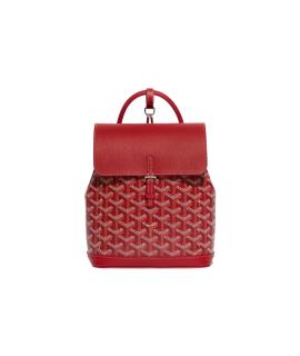 GOYARD Рюкзак
