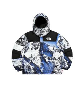 THE NORTH FACE Пуховик