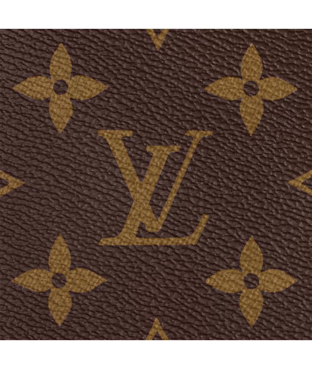 LOUIS VUITTON Коричневая кожаная сумка тоут, фото 4