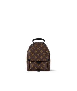 LOUIS VUITTON Рюкзак