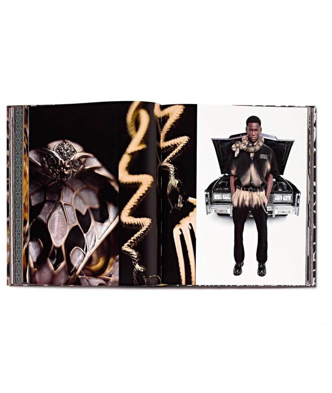 ROBERTO CAVALLI Книга, фото 6