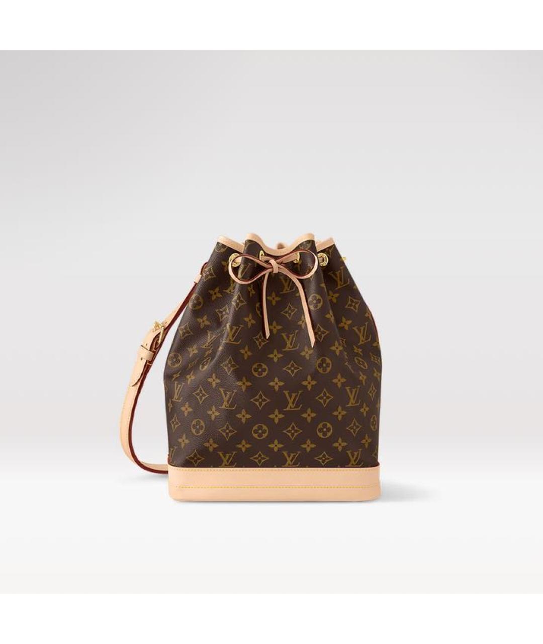 LOUIS VUITTON Кожаная сумка с короткими ручками, фото 1