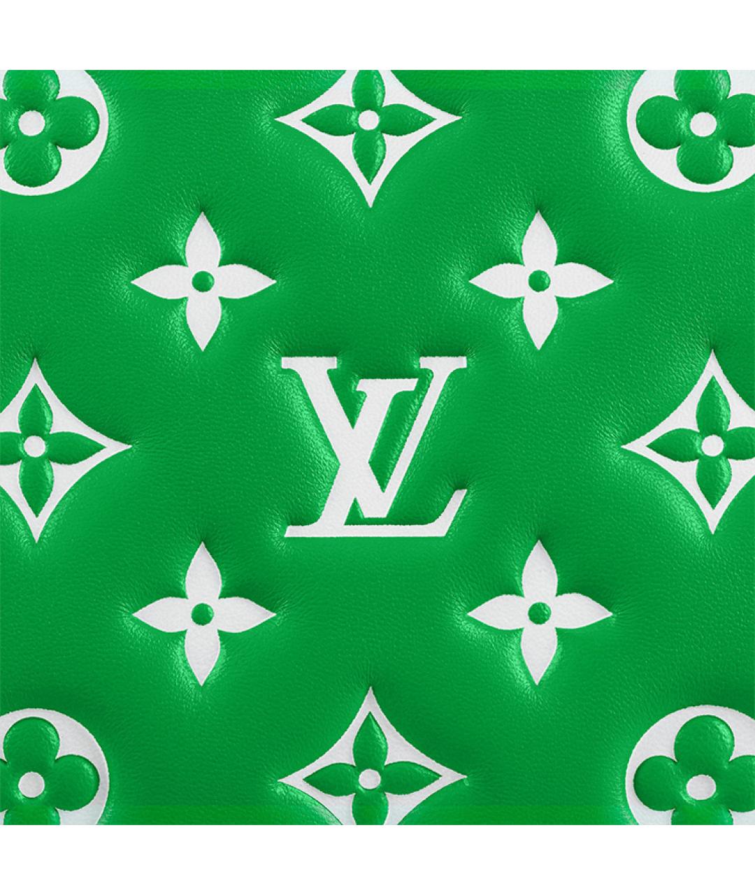 LOUIS VUITTON Зеленая кожаная сумка через плечо, фото 5