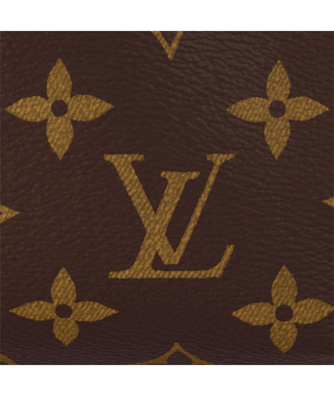 LOUIS VUITTON Коричневая кожаная сумка через плечо, фото 6