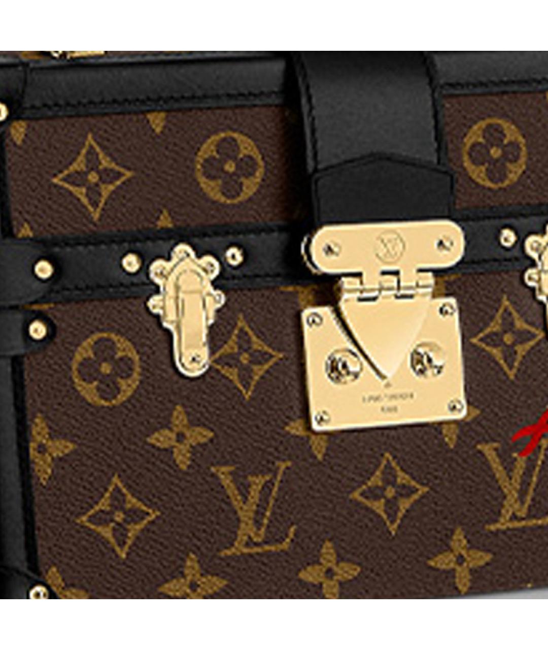 LOUIS VUITTON Коричневая кожаная сумка через плечо, фото 5