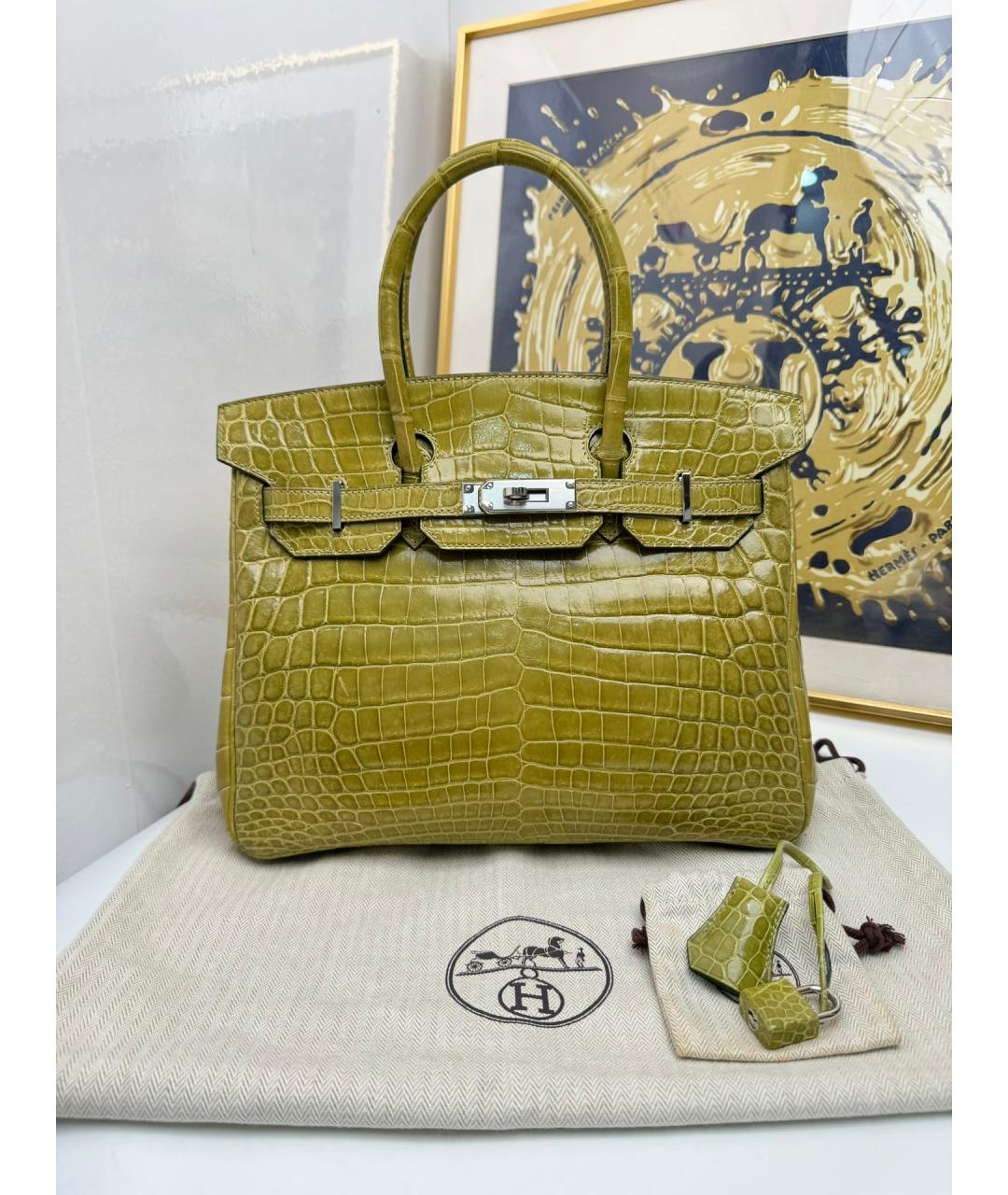 HERMES Зеленая сумка с короткими ручками из экзотической кожи, фото 9