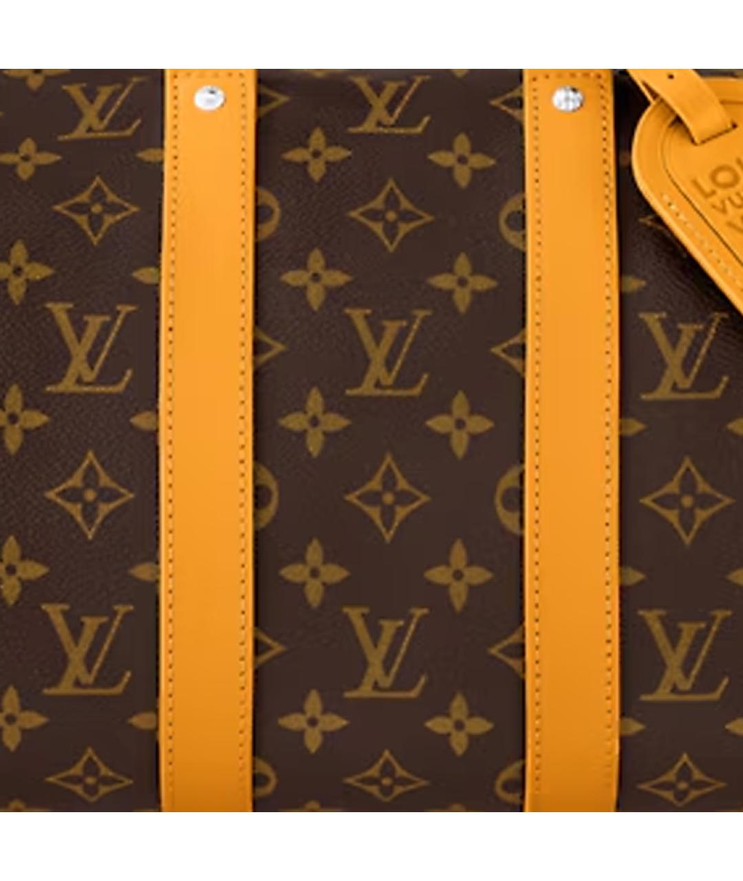 LOUIS VUITTON Коричневая сумка на плечо, фото 6