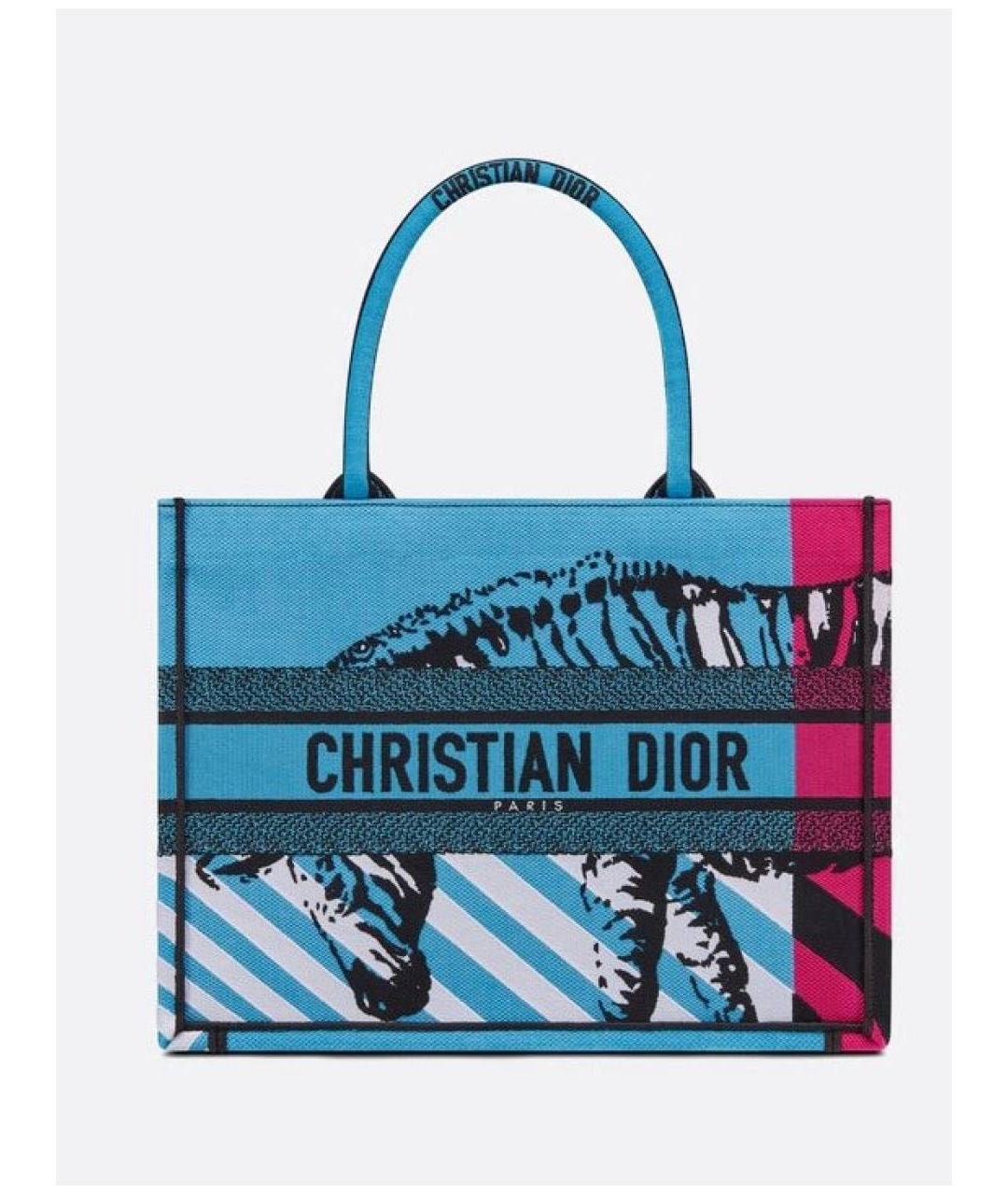 CHRISTIAN DIOR Синяя сумка тоут, фото 8