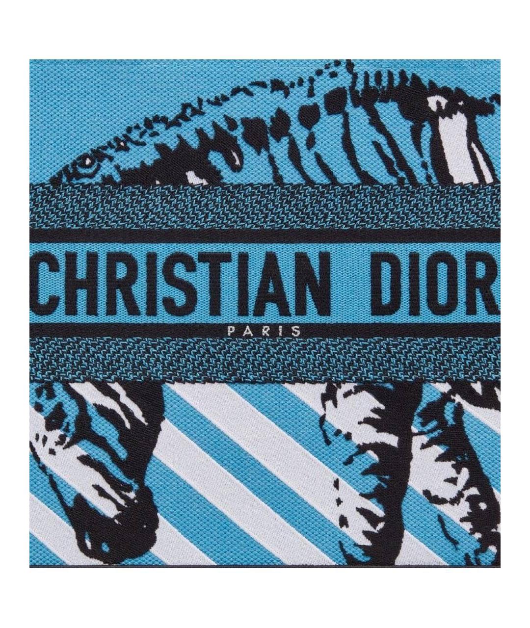 CHRISTIAN DIOR Синяя сумка тоут, фото 5
