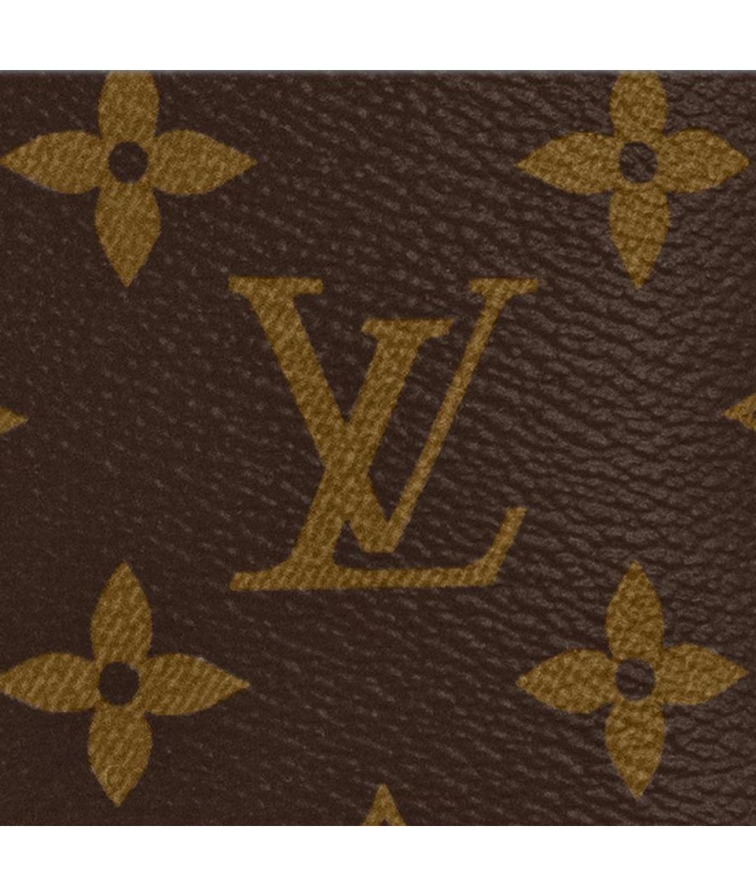 LOUIS VUITTON Коричневая кожаная сумка с короткими ручками, фото 5