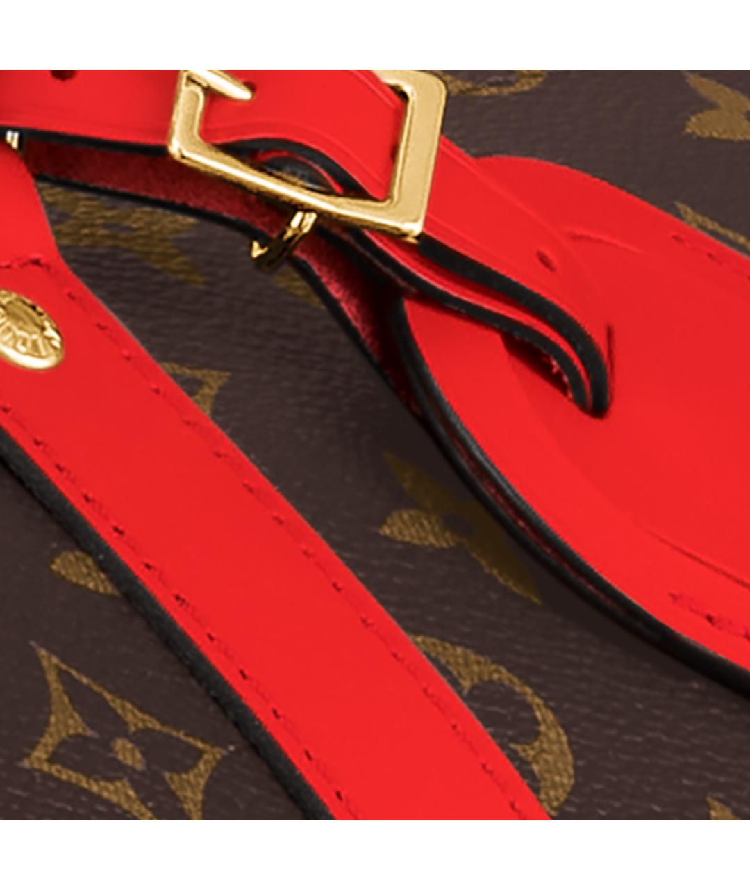 LOUIS VUITTON Коричневая кожаная дорожная/спортивная сумка, фото 6