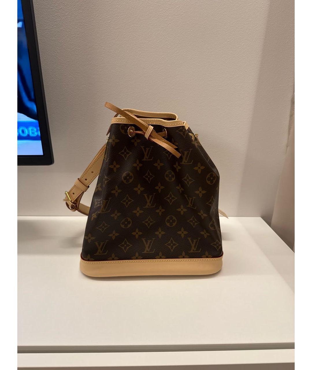 LOUIS VUITTON Коричневая сумка тоут, фото 9