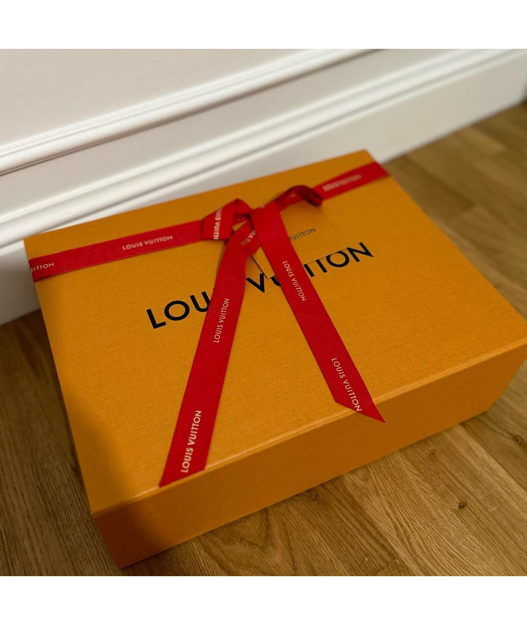 LOUIS VUITTON Коричневая сумка с короткими ручками, фото 5