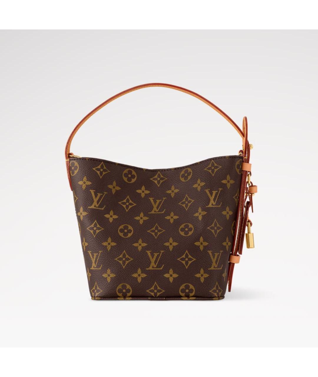 LOUIS VUITTON Коричневая кожаная сумка тоут, фото 4