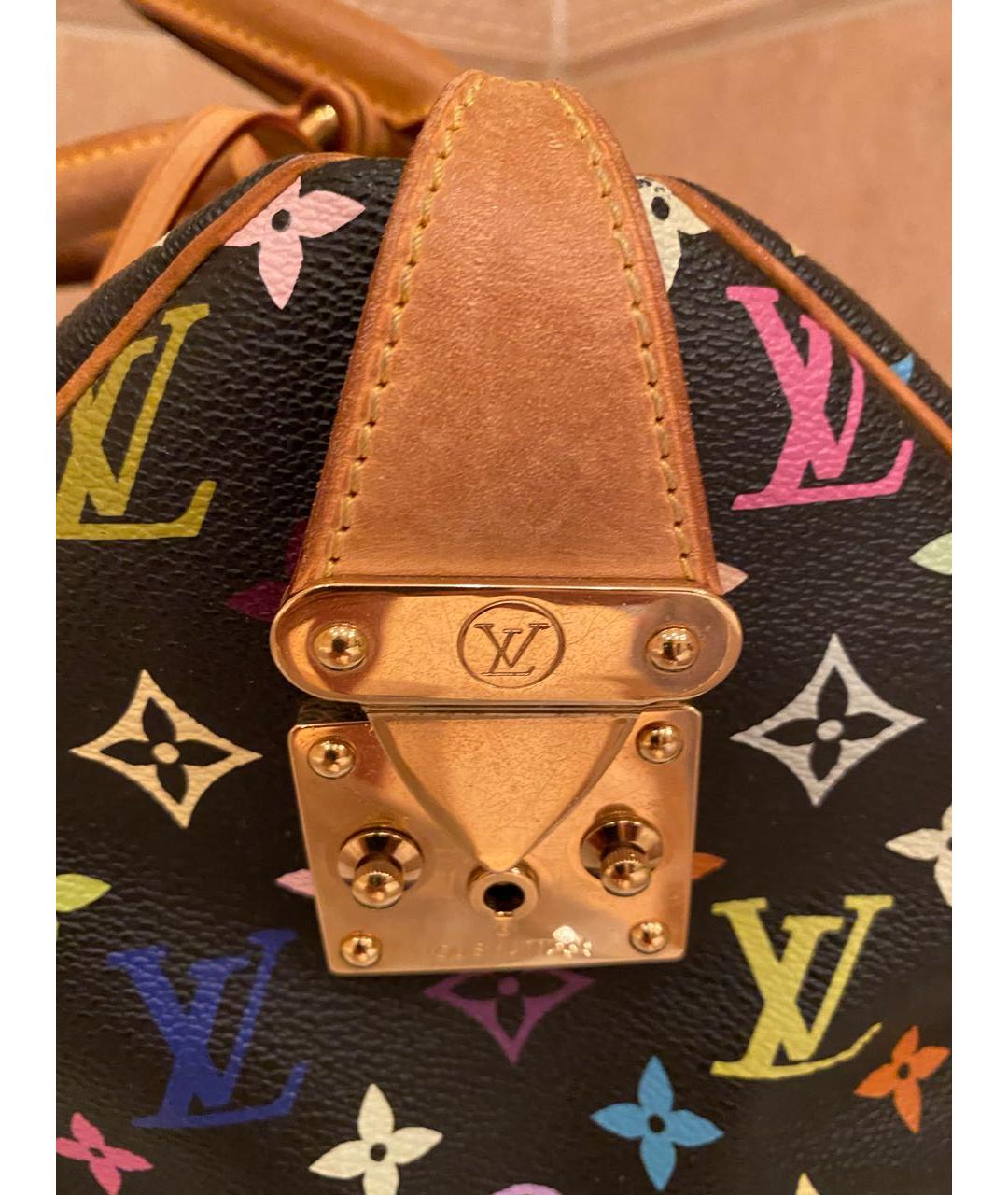 LOUIS VUITTON Сумка с короткими ручками, фото 5