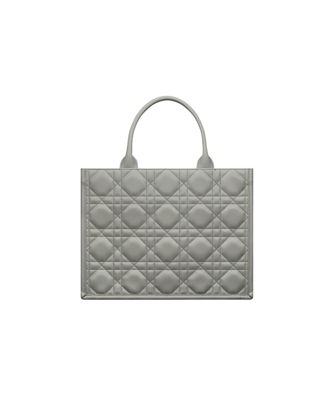 CHRISTIAN DIOR Серая кожаная сумка через плечо, фото 3