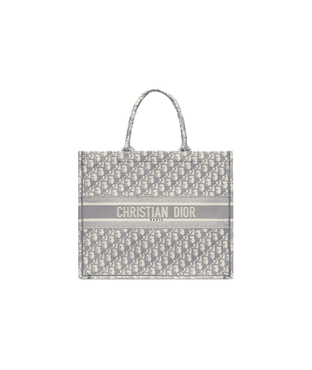 CHRISTIAN DIOR Серая сумка через плечо, фото 1
