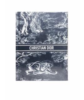 CHRISTIAN DIOR Книга