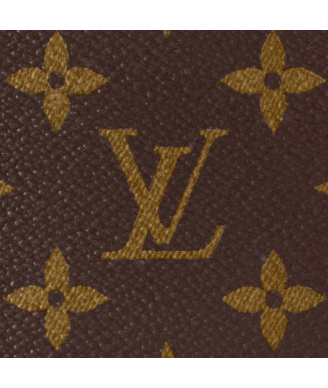 LOUIS VUITTON Коричневый кожаный рюкзак, фото 5