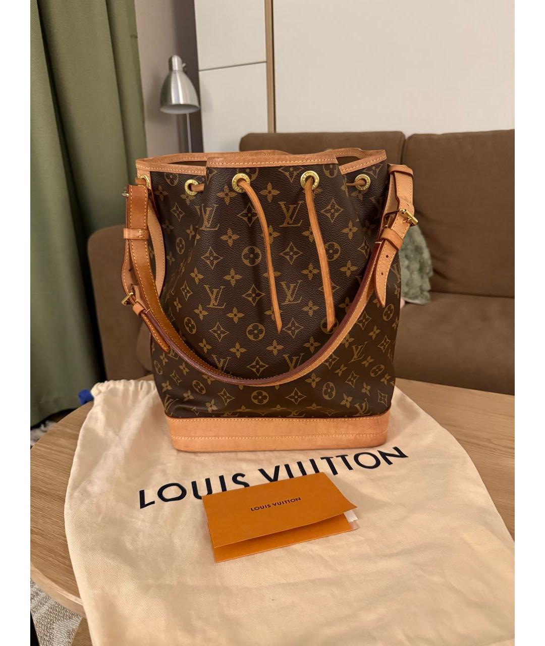 LOUIS VUITTON Коричневая сумка тоут, фото 9