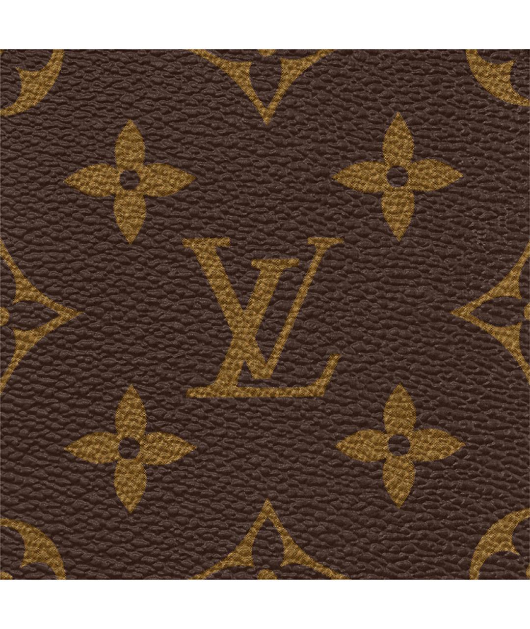 LOUIS VUITTON Коричневая кожаная сумка через плечо, фото 6