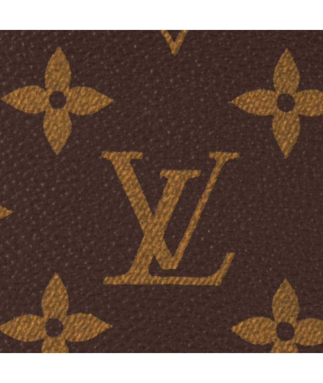 LOUIS VUITTON Коричневая кожаная сумка через плечо, фото 5