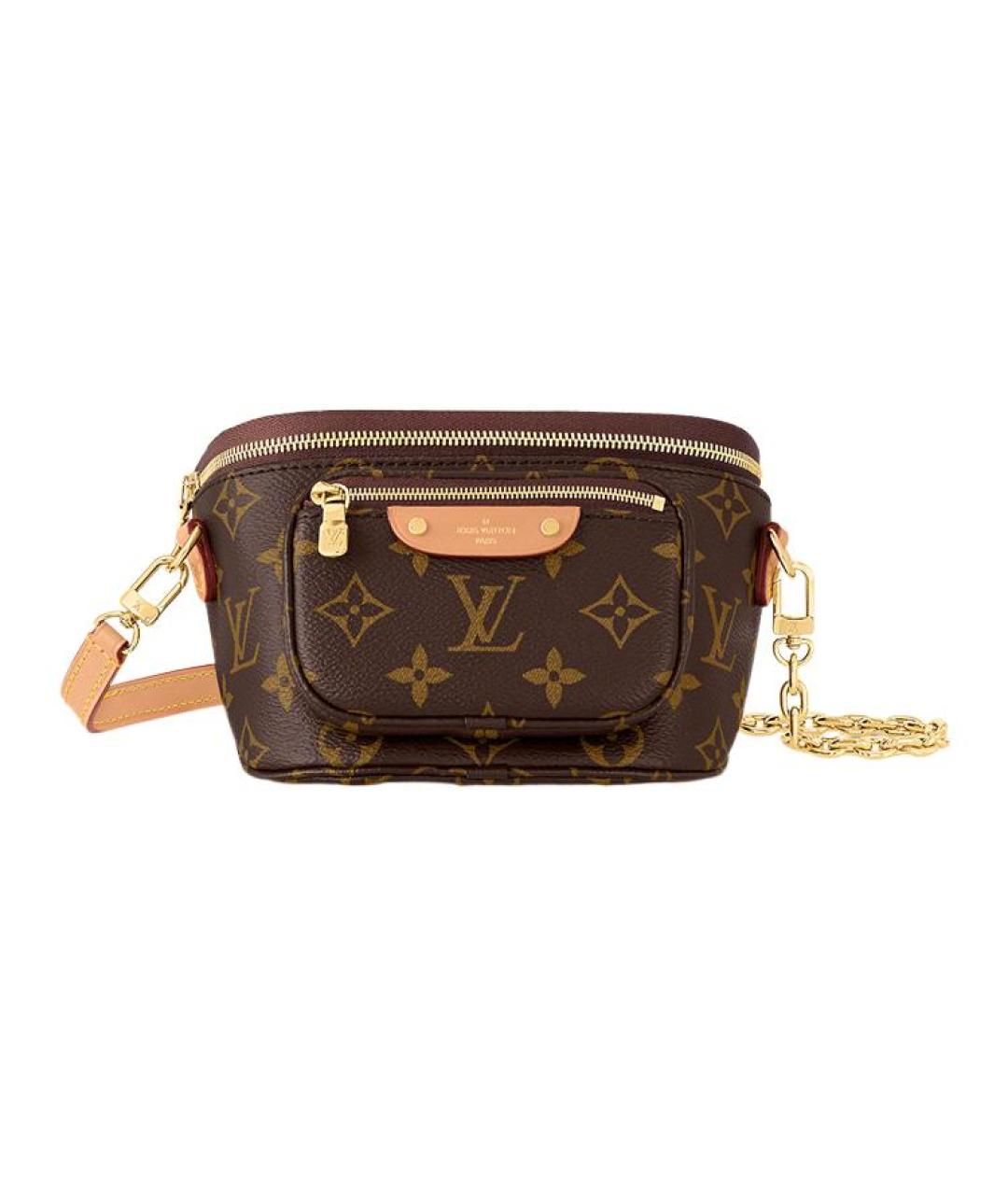 LOUIS VUITTON Коричневая поясная сумка, фото 1