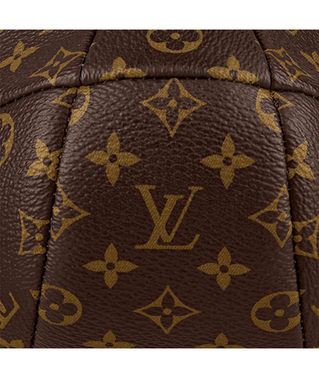 LOUIS VUITTON Коричневая сумка через плечо, фото 5