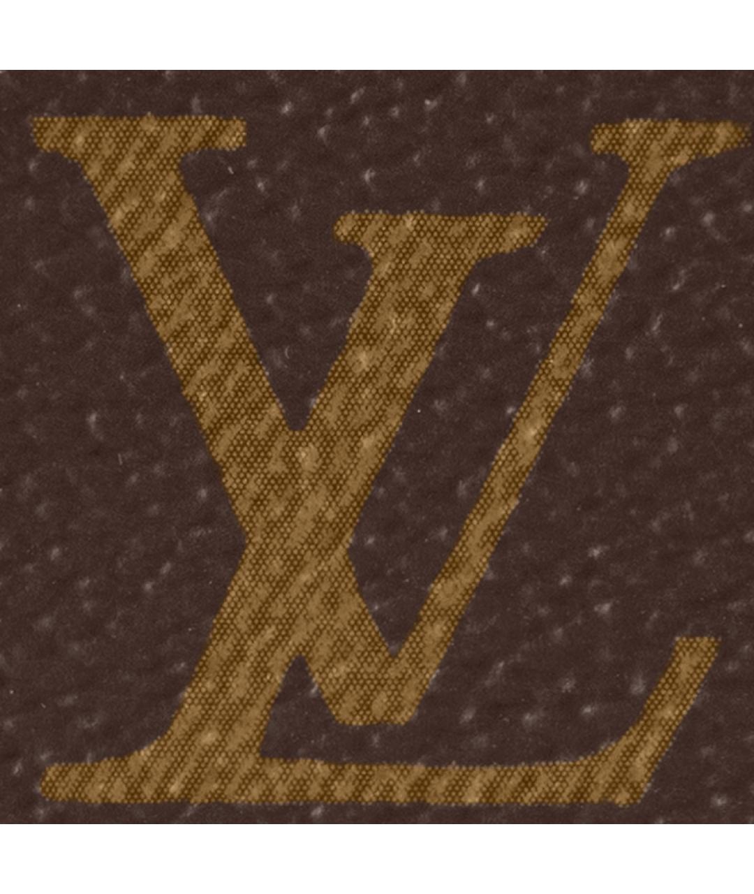 LOUIS VUITTON Коричневая сумка на плечо, фото 7