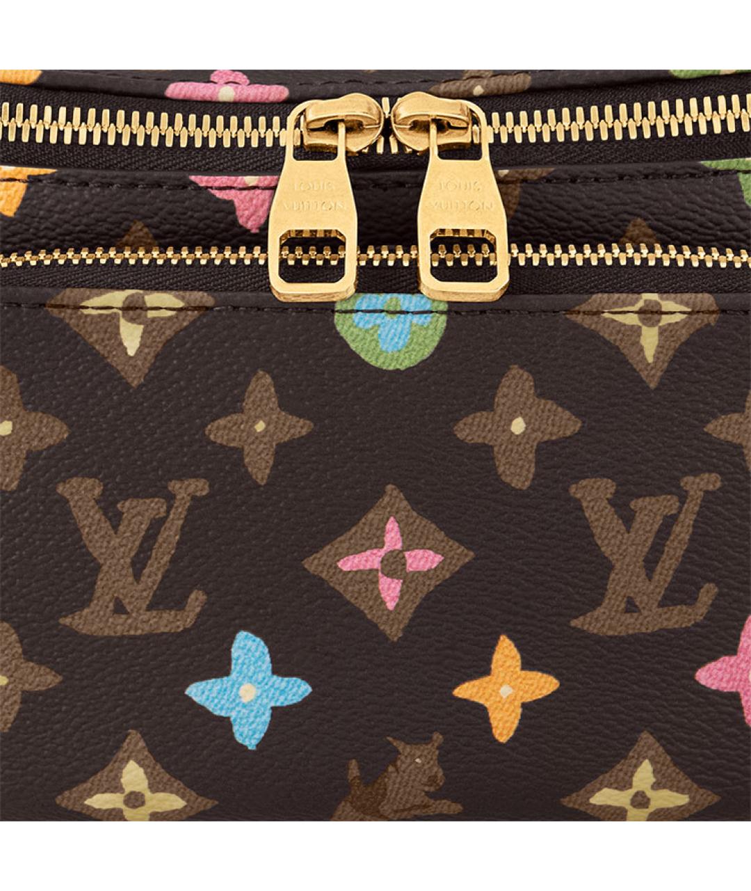 LOUIS VUITTON Коричневая поясная сумка, фото 5